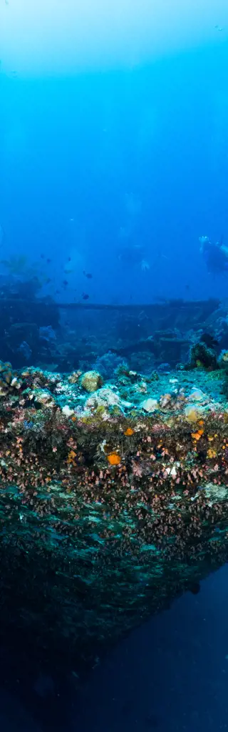 Tauchreisen Mauritius